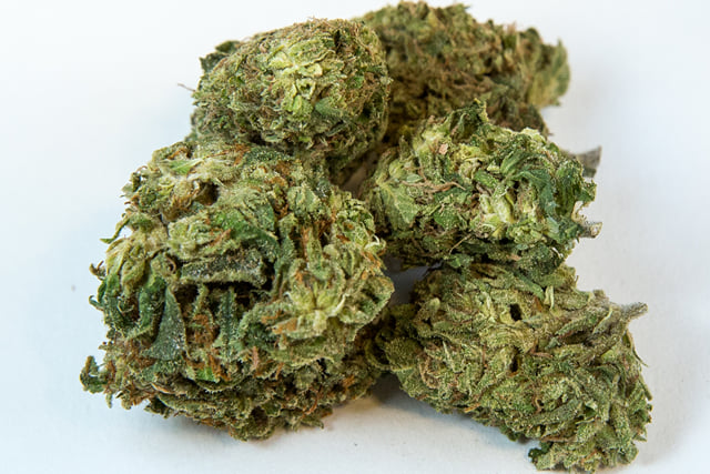 Premium Tangie