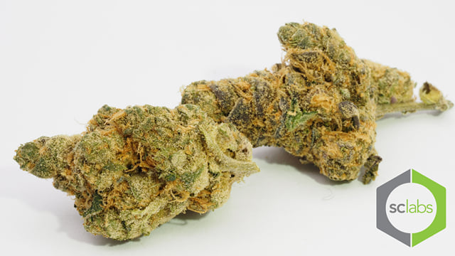 Girl Scout Cookies