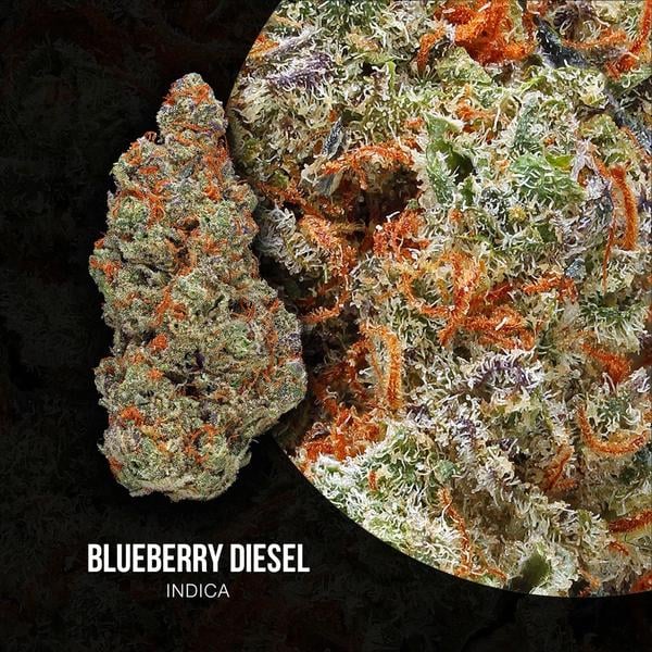 Blueberry Diesel