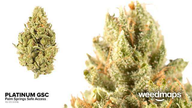 PLATINUM GIRL SCOUT COOKIES
