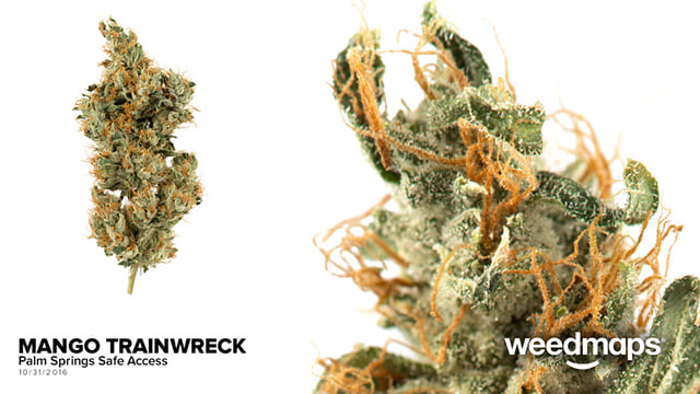 Mango Trainwreck
