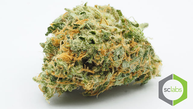 Blue Crack