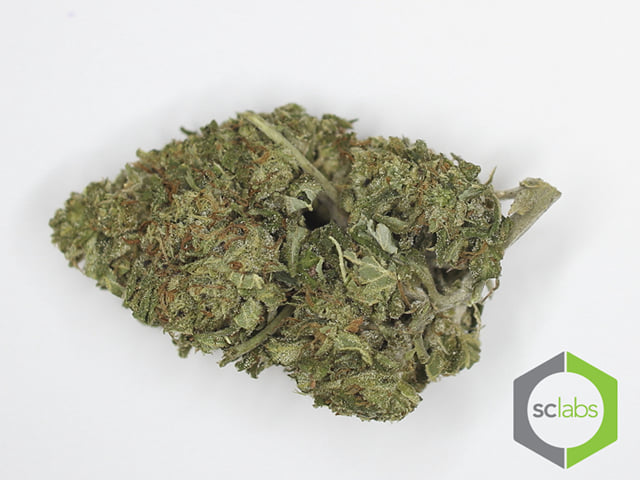 Royal Kush