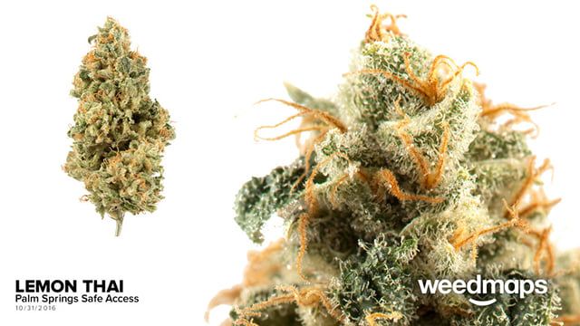 Lemon -Thai