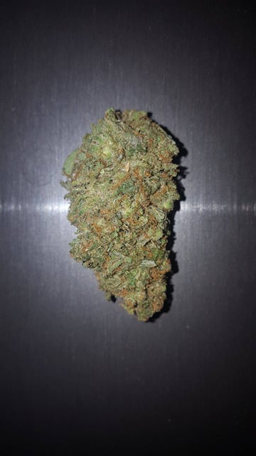 Gorilla Ghost OG