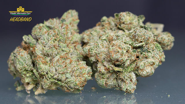 Headband *Kings Reserve*