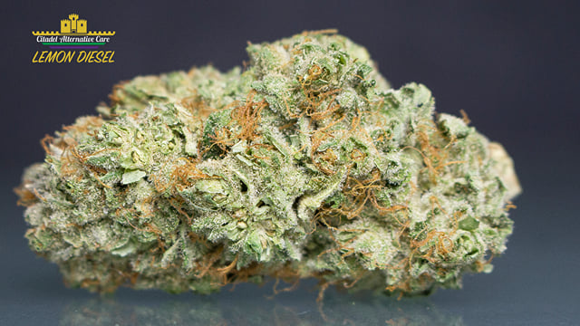 Lemon Diesel *Top Shelf*