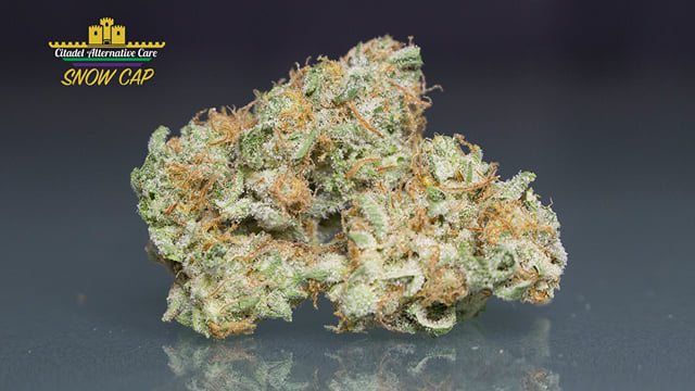 Snowcap *Kings Reserve*