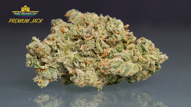 Premium Jack *Top Shelf*