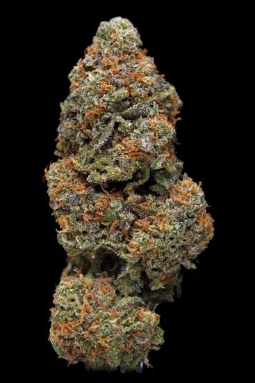 GrandDaddy Purple