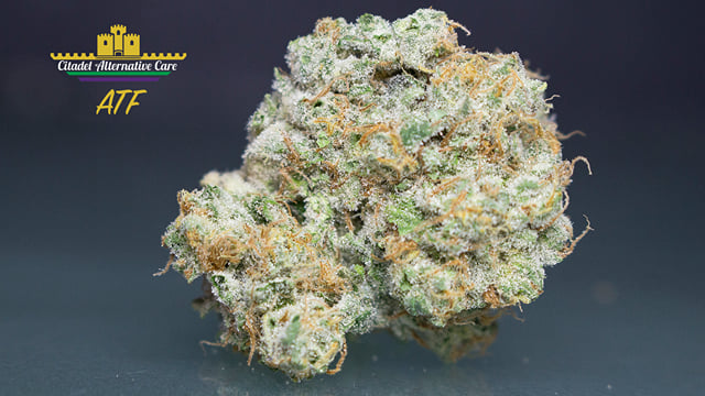 ATF *Black Label*