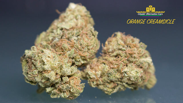 Orange Creamsicle