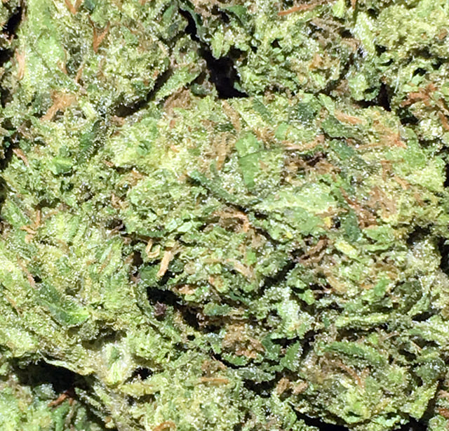 Sour O.G.