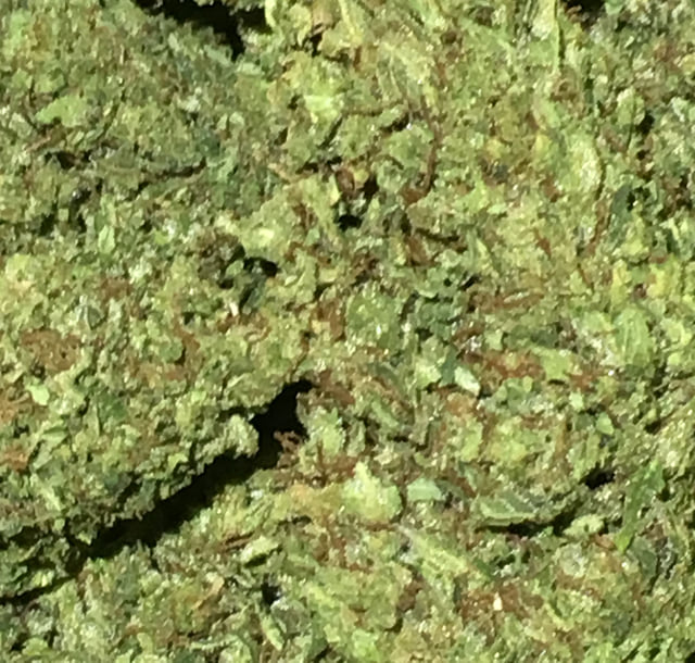 Durban Diesel