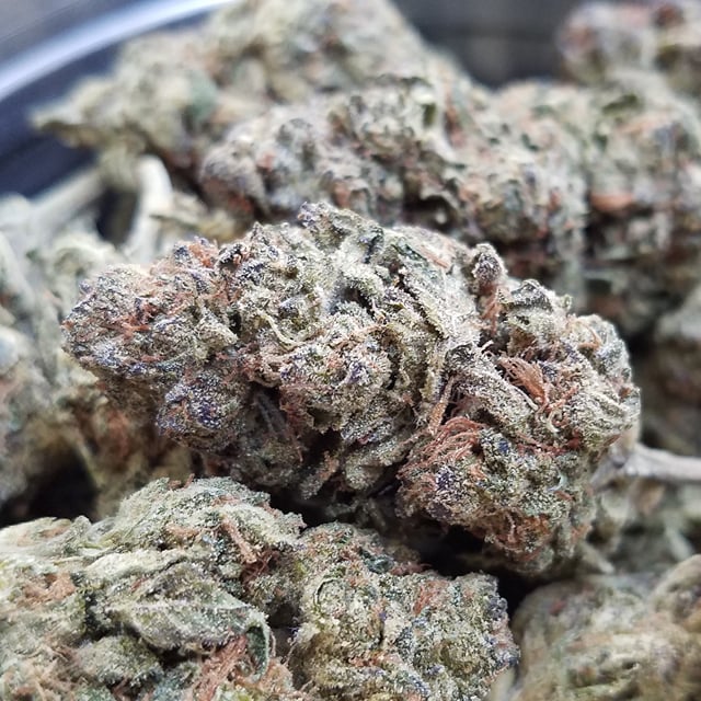 Sunset Sherbert
