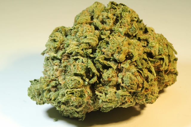 Raspberry Delight