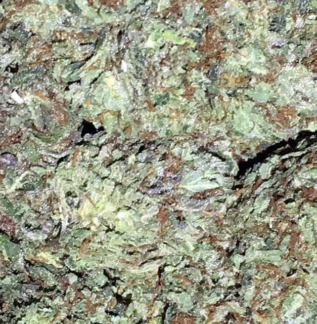 O.G. Kush