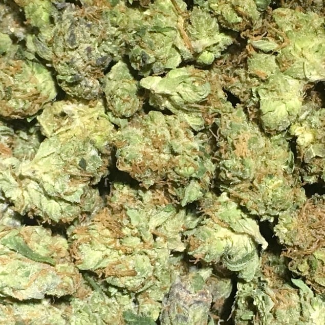 Mango Tango 1/2OZ Special $150