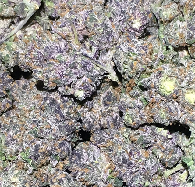 Acai