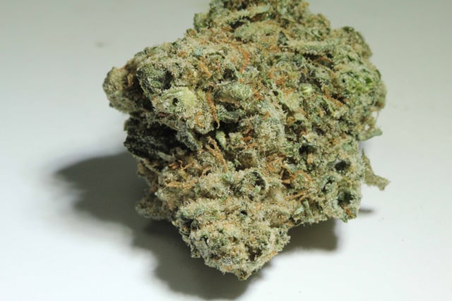 Cherry Gorilla