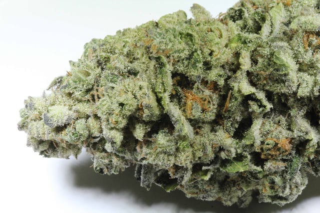 Monster Cookies