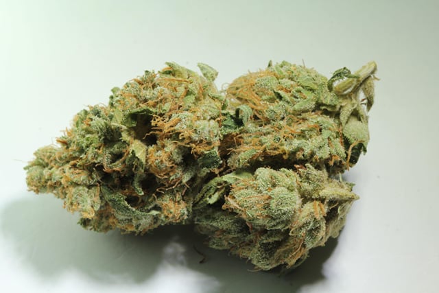 King Louis XIII
