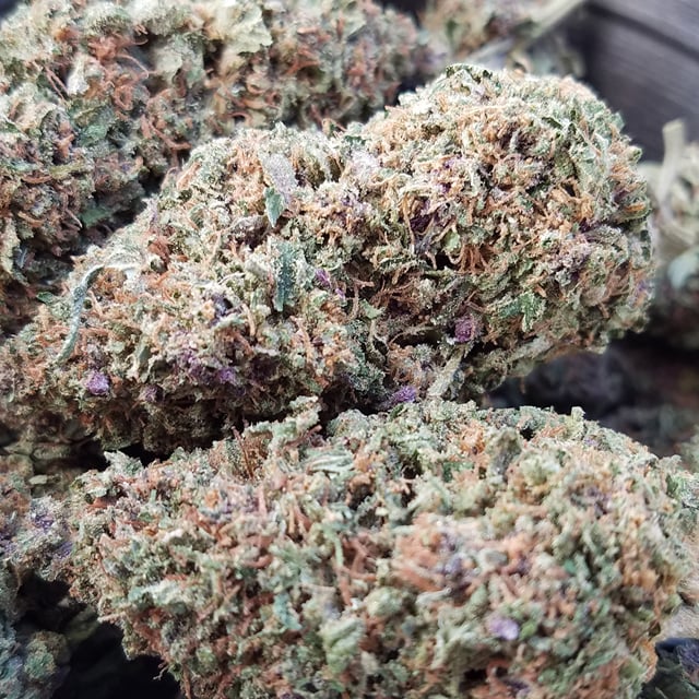 Purple Paki