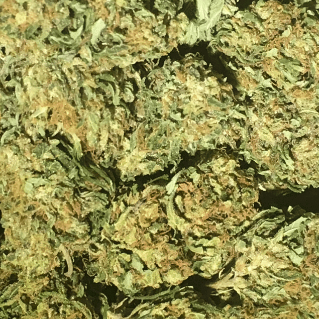 Banana Split Kush