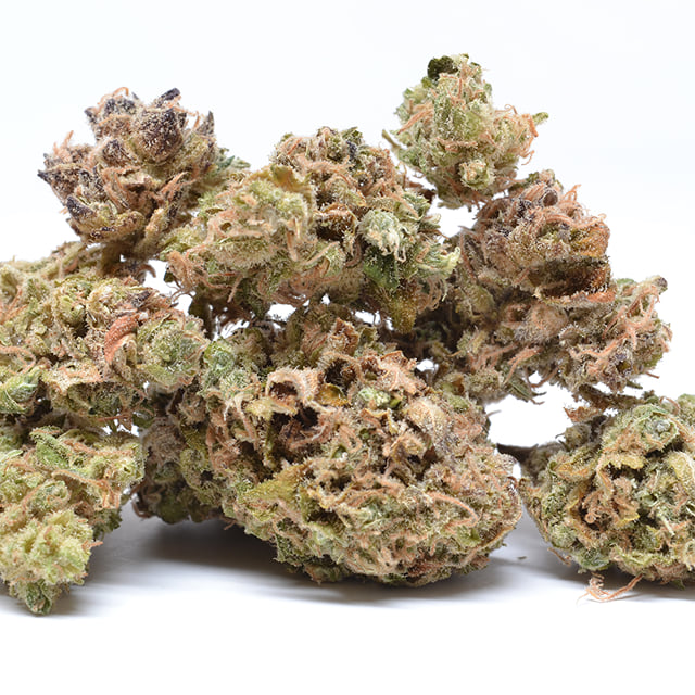 Critical Widow