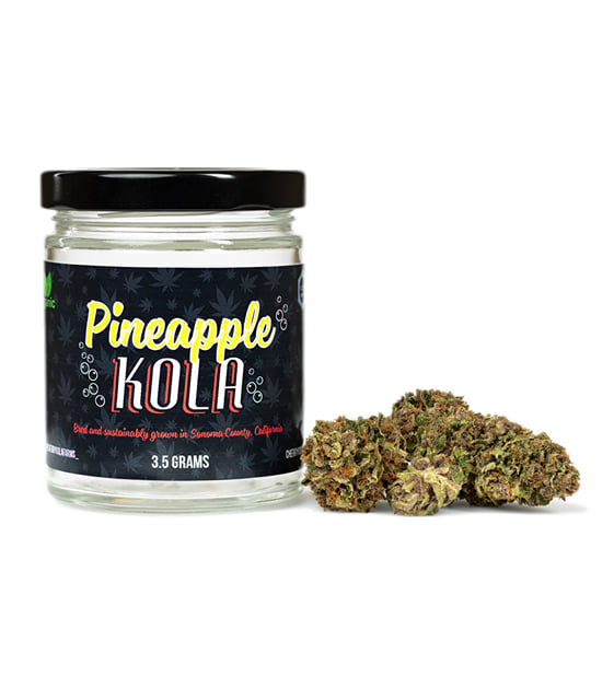 Pineapple Cola - Cherry Kola Farms