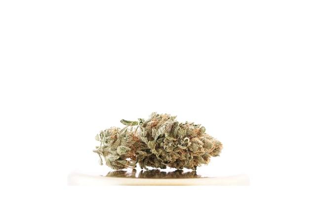 Kosher Kush