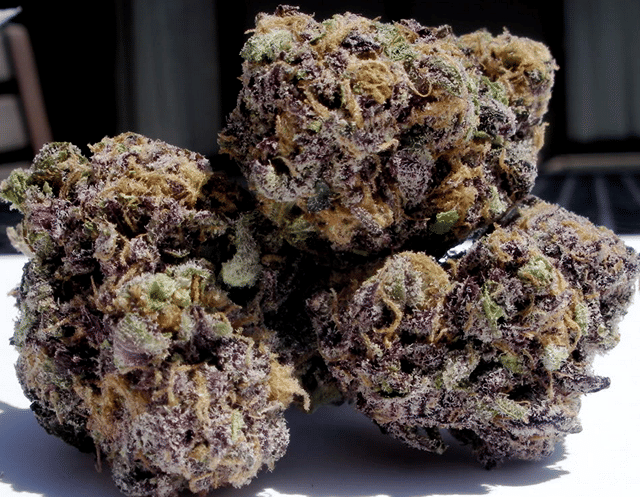 415 GDP Indoor Organic(Private Reserve)
