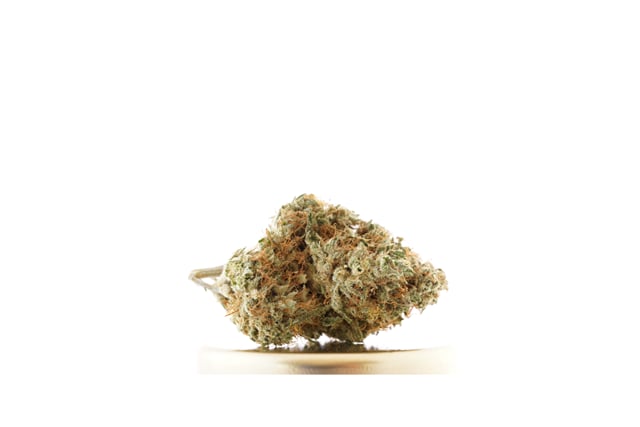 Lono Haze