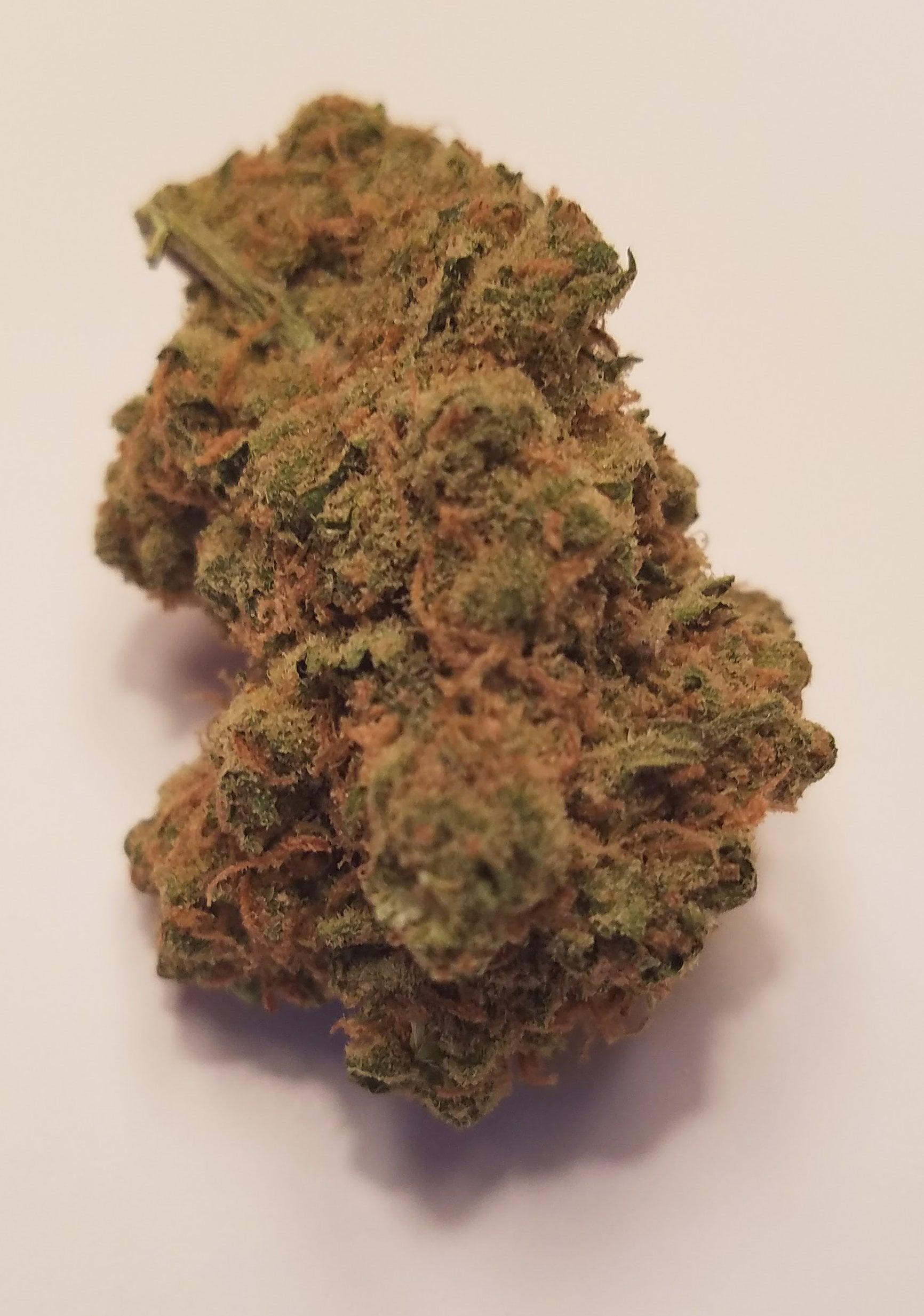 Jack Herer