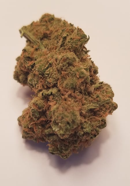 Jack Herer