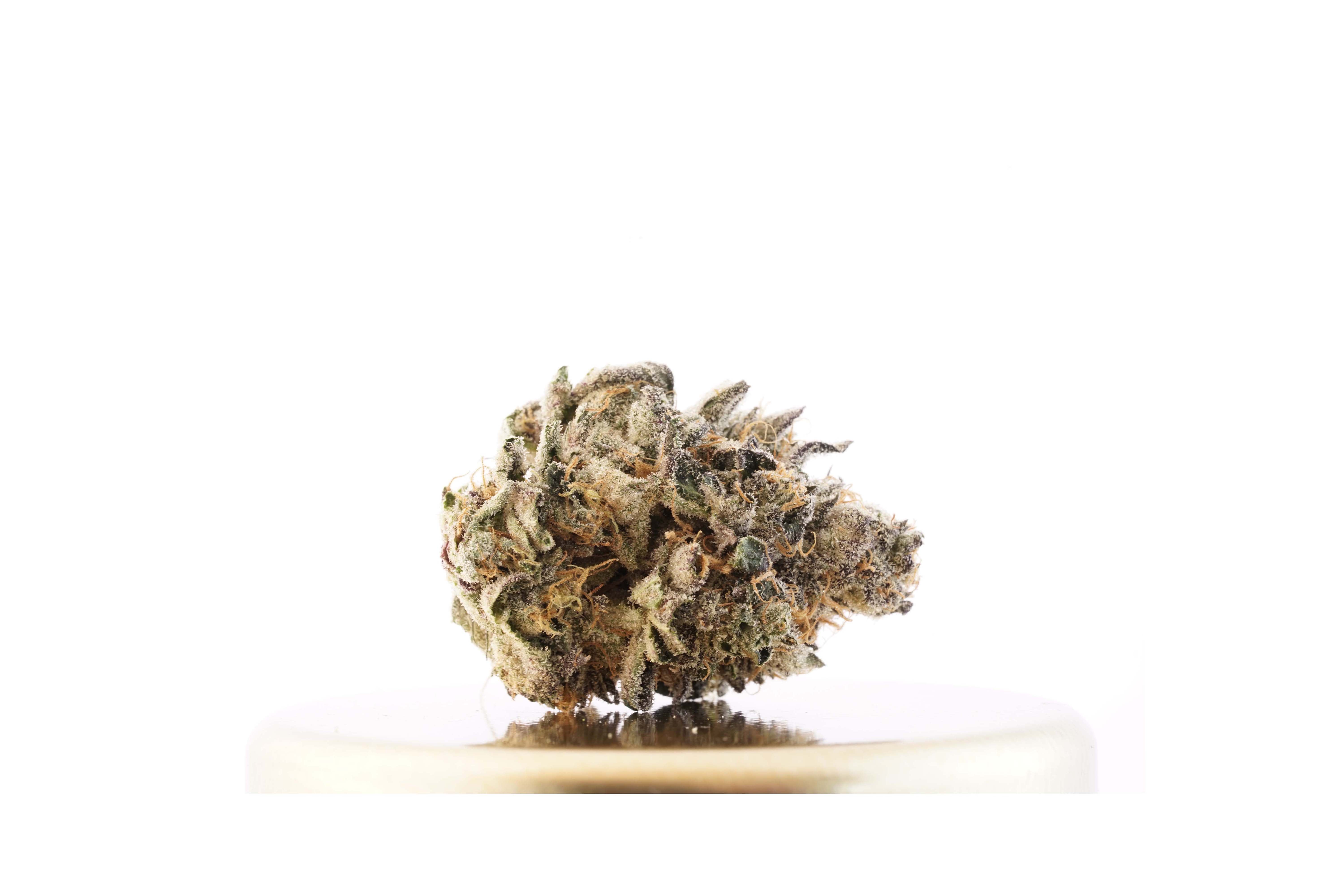 Sherbet