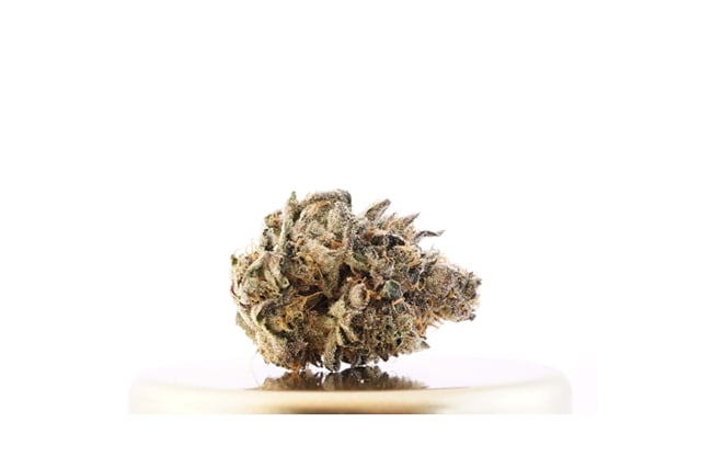 Sherbet