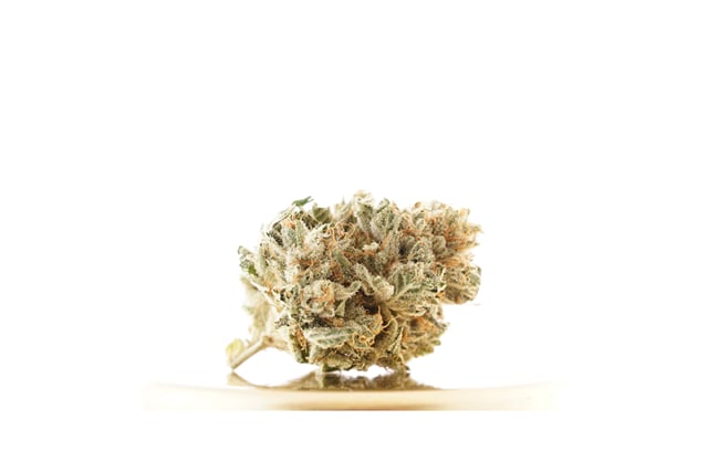 Gorilla Glue #4