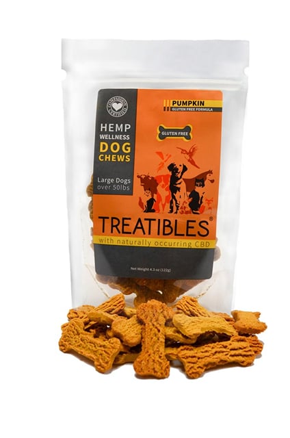 Large Pumpkin Chews
