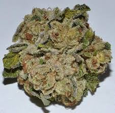 True OG