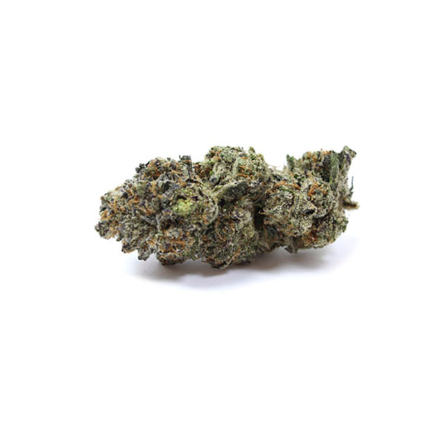 Gelato