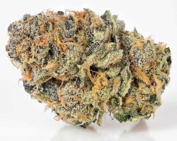 White Tahoe Cookies