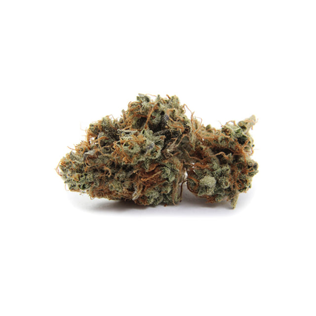 Vegan Lemon OG Kush