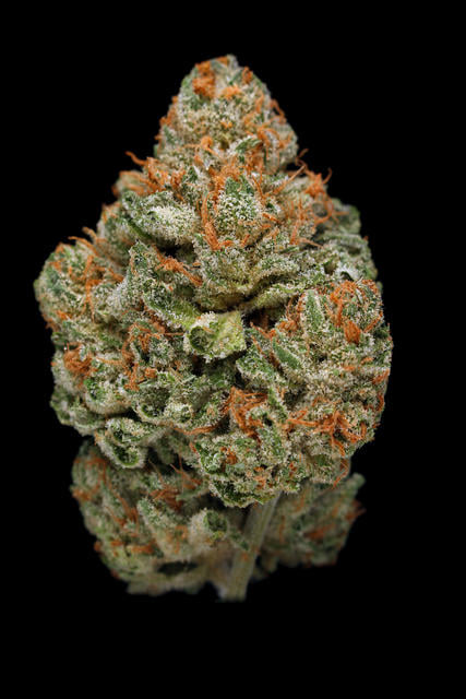 Sunset Sherbet