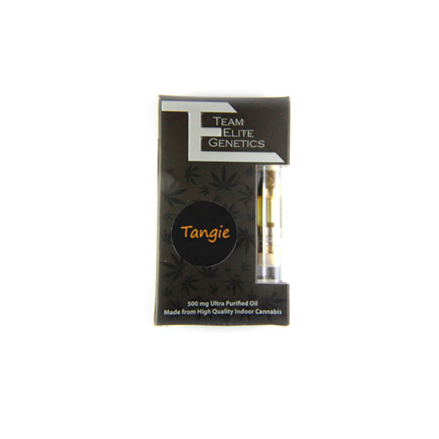 Team Elite Genetics - Tangie