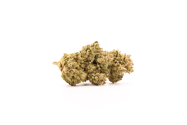 GORILLA GLUE #4