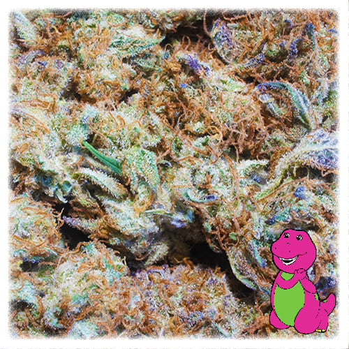 Grand Daddy Purple