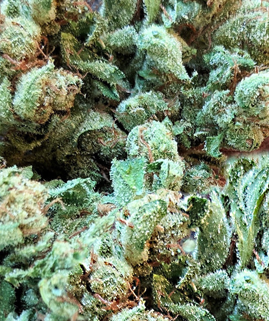 Chemdawg