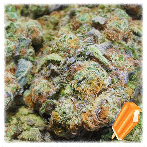 Tangie Sherbet