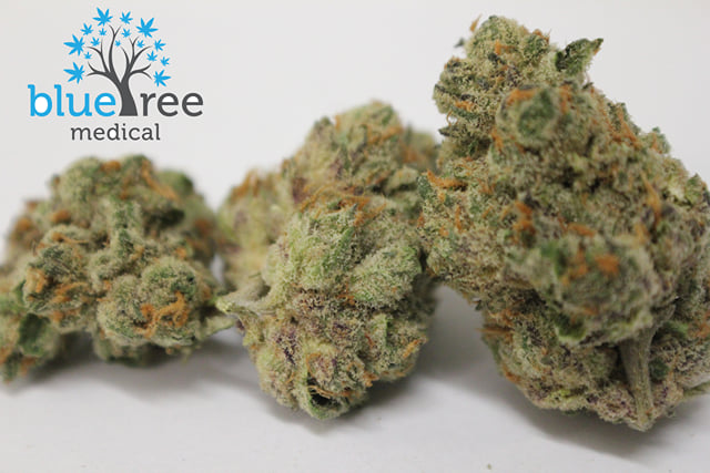 Sunset Sherbet